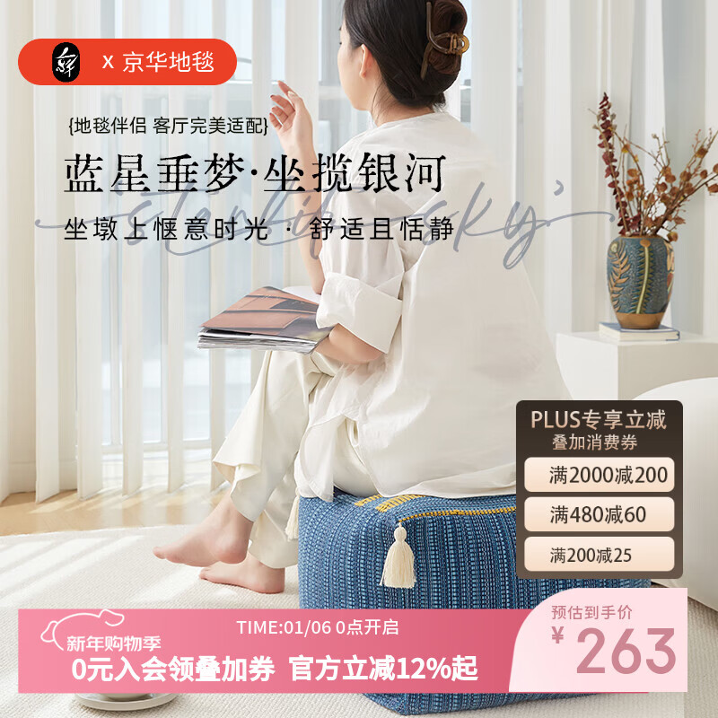 京华客厅地毯蒲团百搭简约家用沙发卧室坐墩卧室榻榻米阳台飘窗靠垫 辰漪 40*40*30