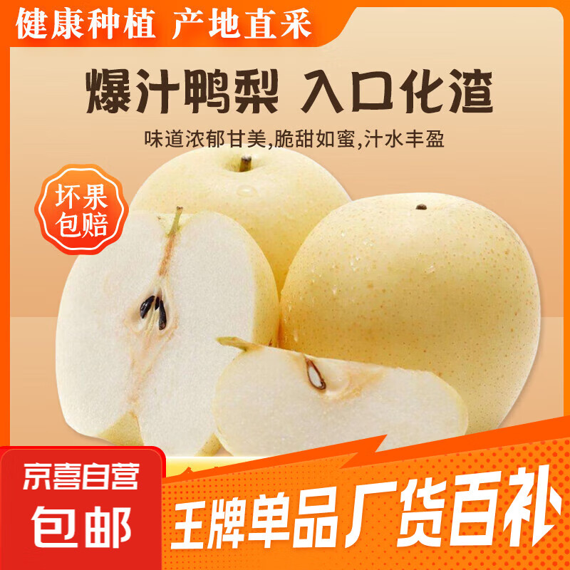 京喜加河北晋州鸭梨新鲜水果大鸭梨云鼎新31 【含箱重】2斤