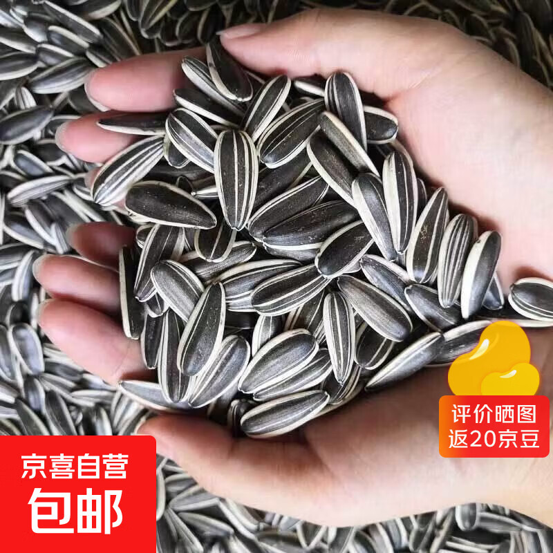 新货净重现炒熟瓜子大颗粒散装原味葵花仔特价生货批新鲜葵花子 【特大炒熟】1斤装原味瓜子