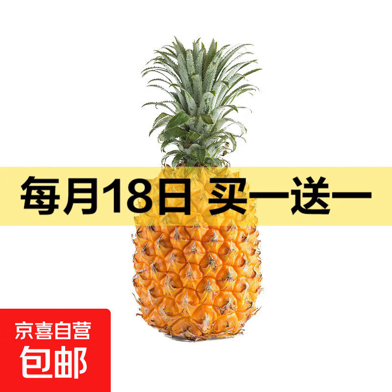 广东湛江徐闻菠萝 香水菠萝 热带水果 【活动期间合并发货】1个 净重1.3-2斤