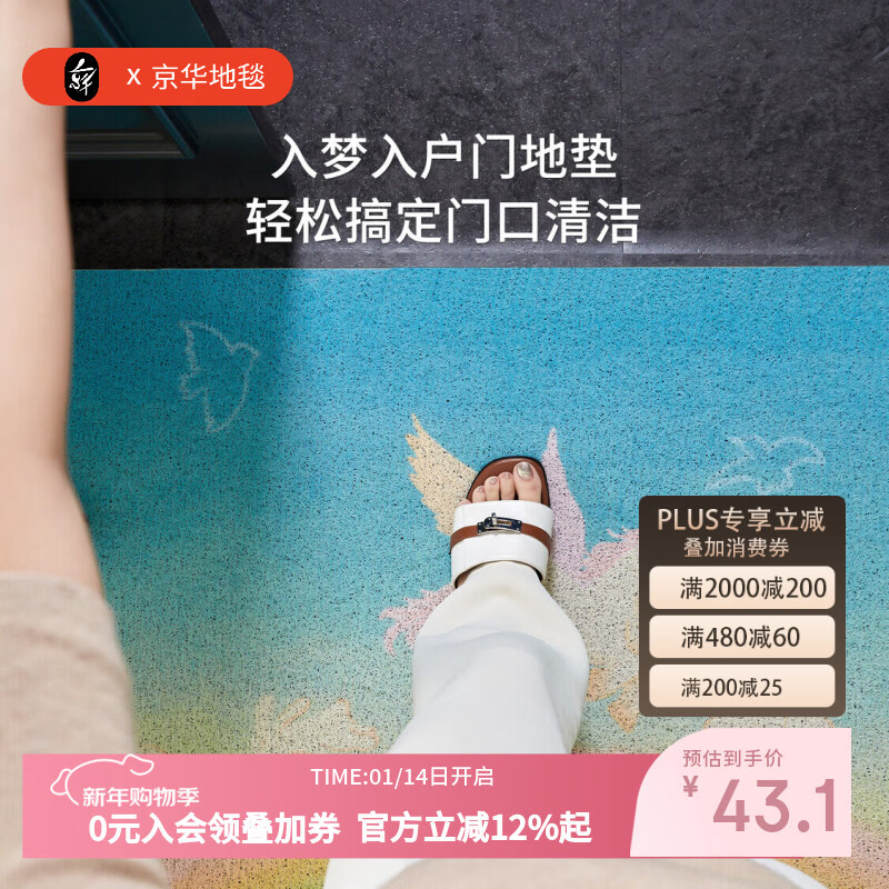 京华入户门地垫马年童趣可裁剪可定制丝圈防滑免洗家用室内进门口脚垫 发条旅途-80用户选择 50cm*80cm 蹭土除尘