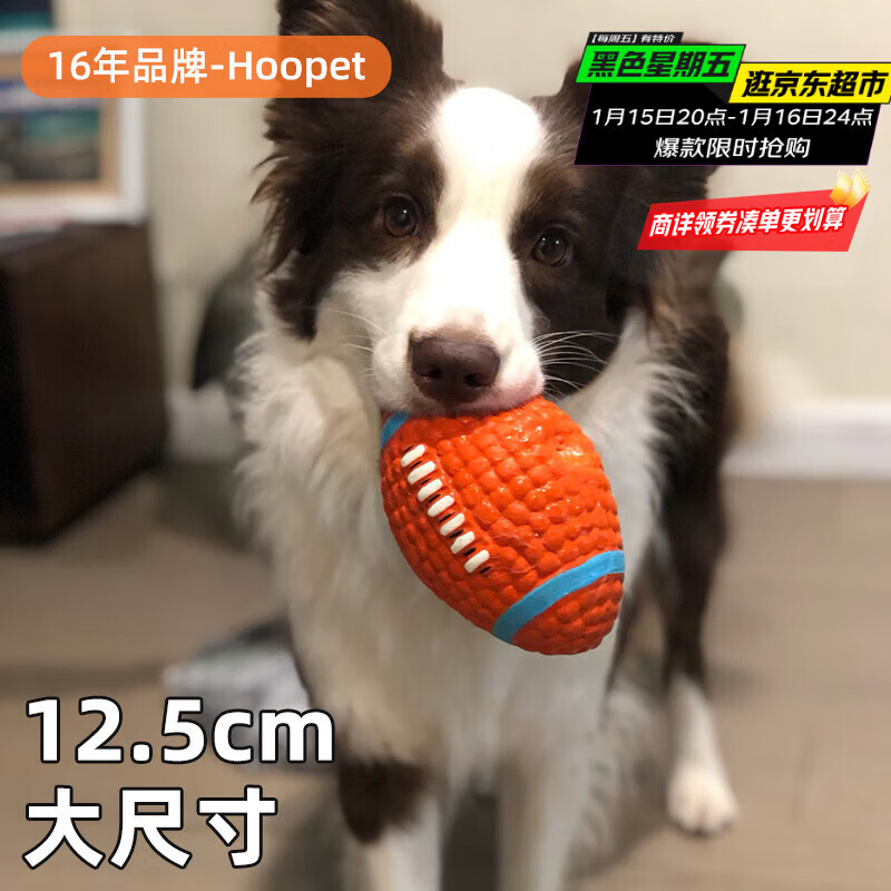 华元宠具（hoopet）狗狗玩具球宠物磨牙耐咬橡胶乳胶逗小狗硅胶解闷消耗体力神器用品