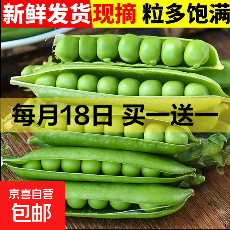 新鲜豌豆四川带壳青豆角水果甜豆荚农家蔬菜 新鲜青豌豆荚净重1斤