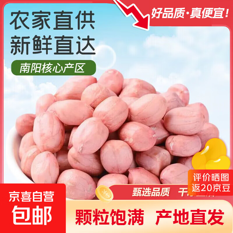 南阳白沙花生米 花生仁现剥生花生米无壳粉皮五谷杂粮 白沙花生米1斤