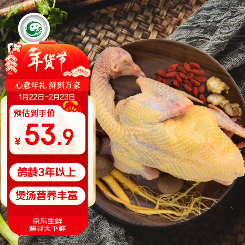 硒全食美富硒老鸽 净重400g/只 冷冻 供港鸽子生鲜冷链 煲汤卤煮年货送礼