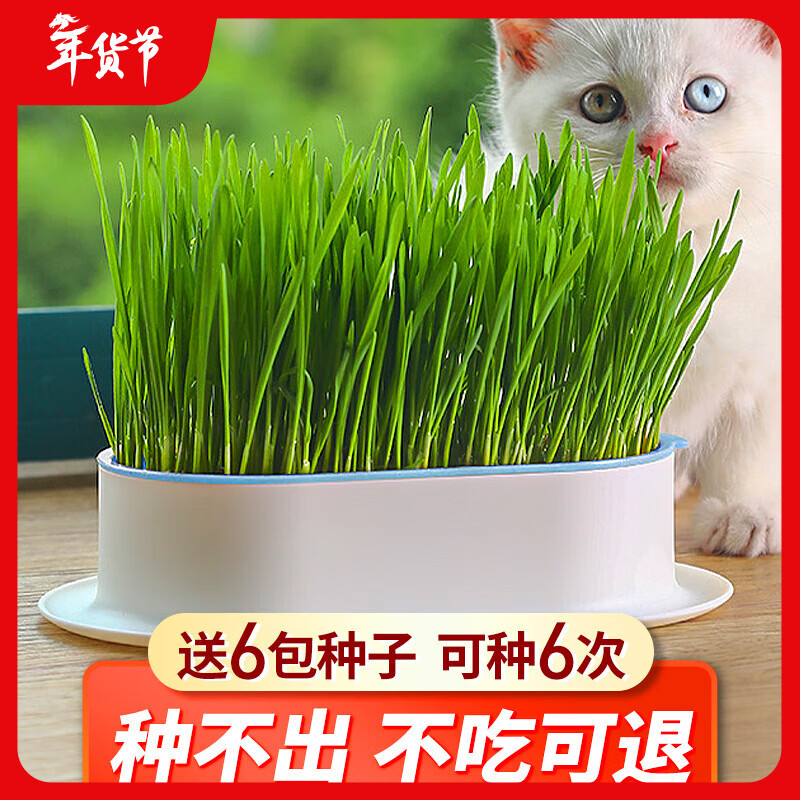 疯狂的主人猫草+6袋小麦种子盆栽无土水培薄荷化去毛球助排毛猫咪零食成幼猫