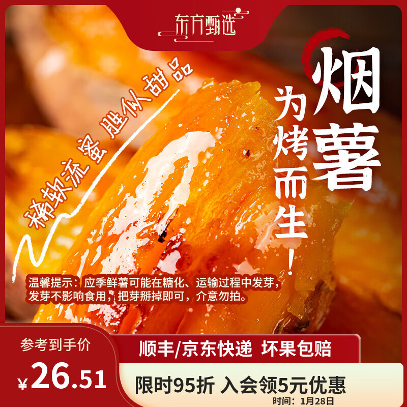 东方甄选烟薯糖心蜜薯流油流蜜香甜软糯空气炸锅烤红薯产自山东坏果包赔 【4.5斤装】单果约150g+（约6-15根）