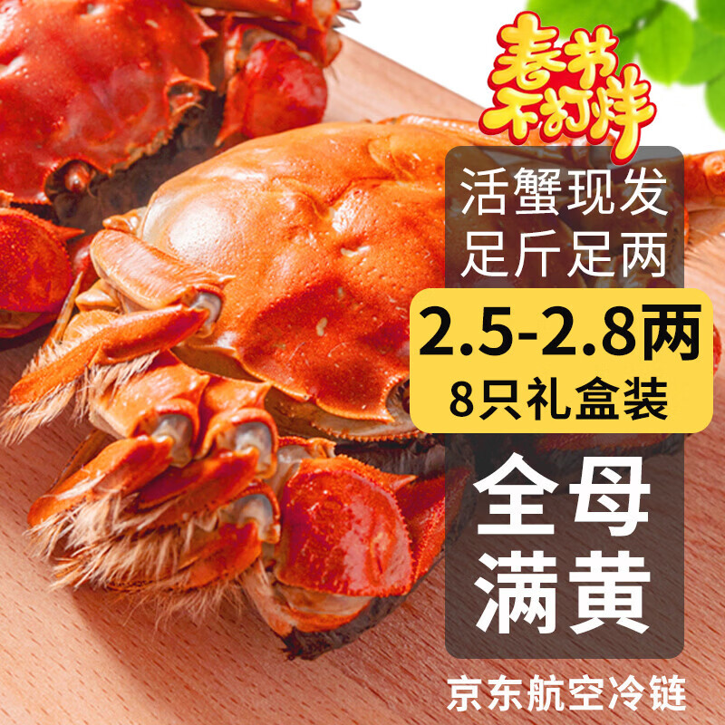 乾澄【活蟹】乾澄大闸蟹现货 全母蟹2.5-2.8两8只 鲜活螃蟹去绳足重年货海鲜礼盒源头直发