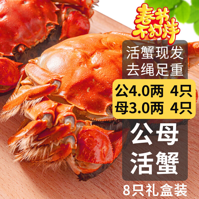 【活蟹】乾澄大闸蟹现货 公蟹4.0两母蟹3.0两8只4对 去绳鲜活螃蟹年货海鲜礼盒源头直发
