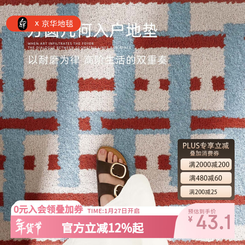 京华入户门地垫轻奢高级感丝圈进门门口玄关脚垫免洗可擦耐磨耐脏门垫 叠影格80用户的选择 50cm*80cm 蹭土除尘