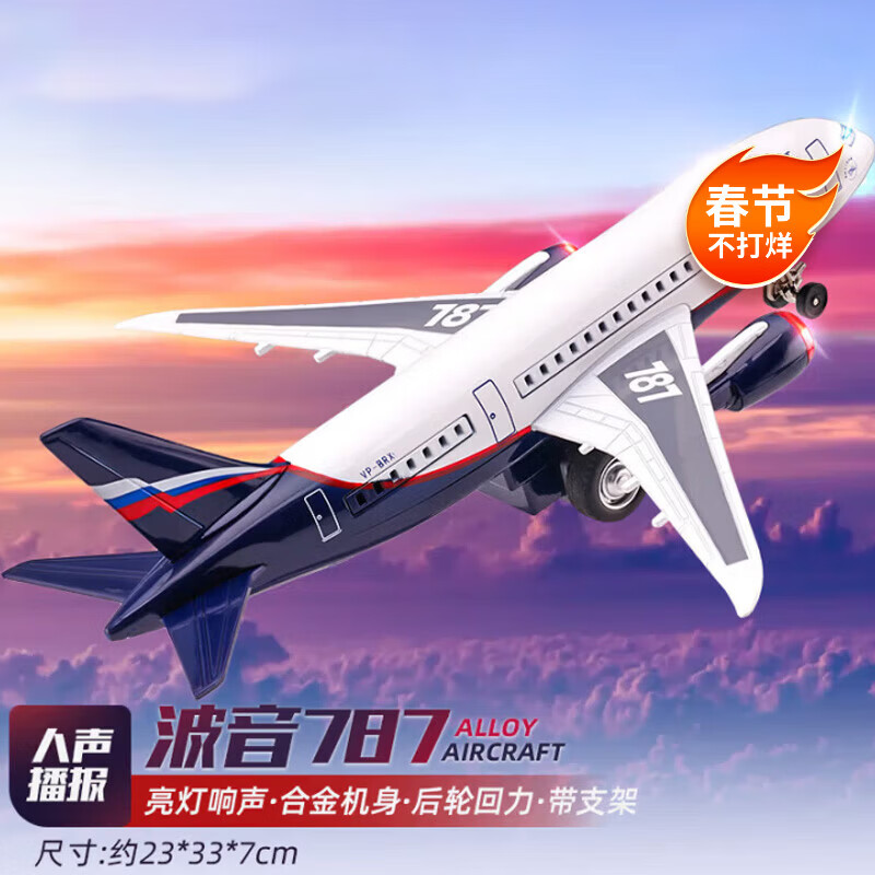 翊玄玩具 波音787飞机模型仿真合金玩具民航客机航空手办男孩礼物