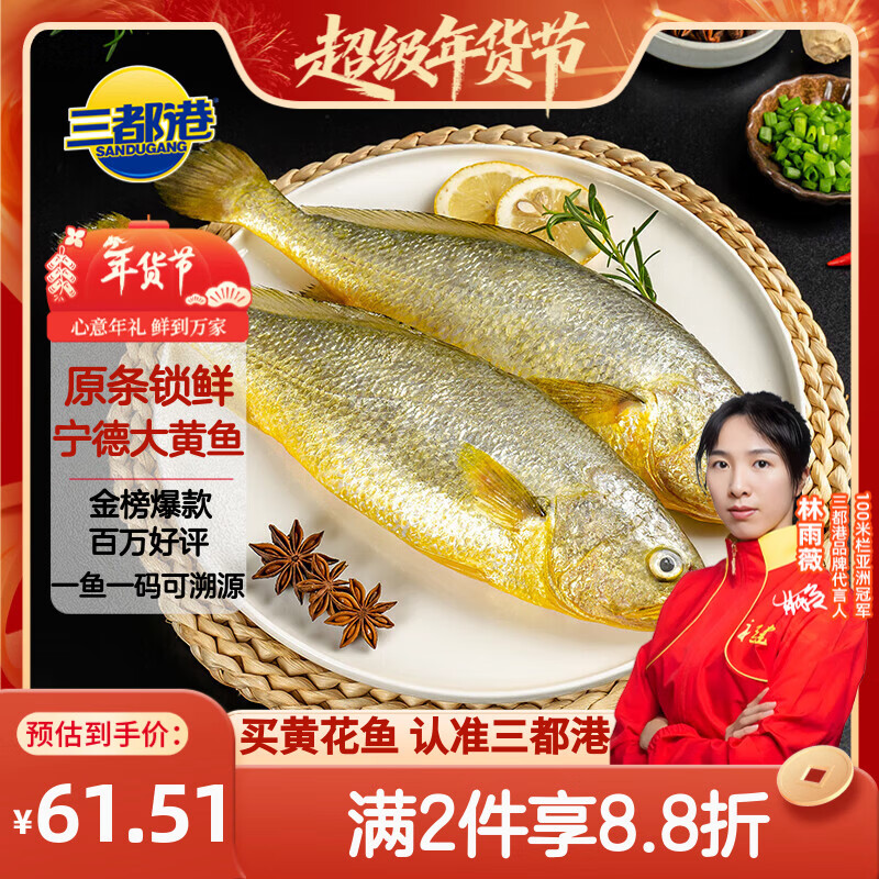 三都港 冷冻黄花鱼700g/2条装 宁德大黄鱼 深海鱼 生鲜鱼类 海鲜 年货