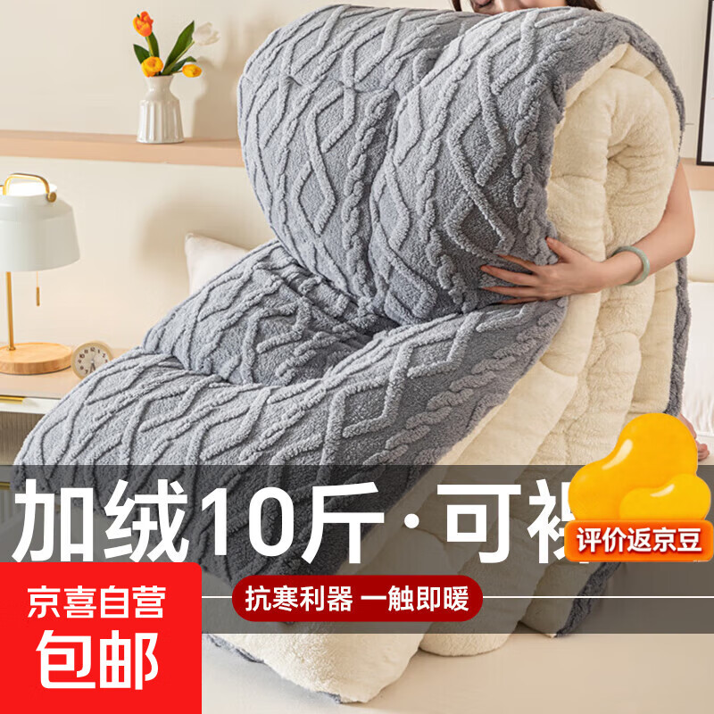 羊羔绒棉被被子冬被加绒加厚秋冬被芯保暖10斤新款单人被牛奶绒 灰色 1.8*2.2米-约8斤