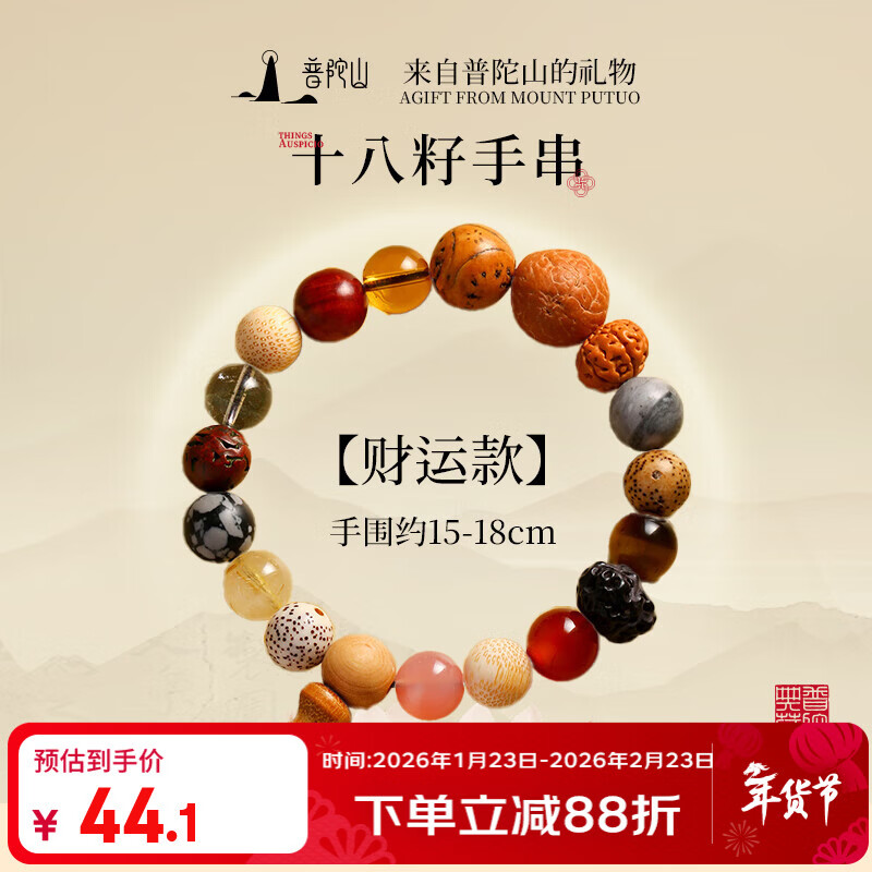普陀山十八籽菩提手串佛珠手链护身符送朋友生日礼物  十八籽-财运款