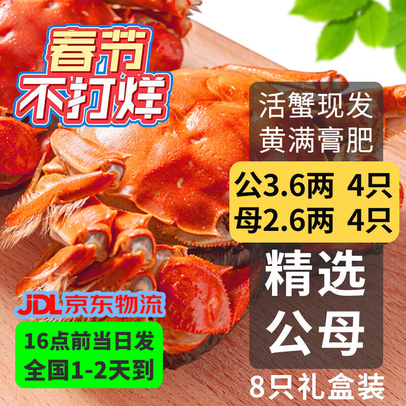 乾澄【活蟹】乾澄大闸蟹现货 公3.6两母2.6两8只4对 鲜活螃蟹海鲜过年送礼年货礼盒源头直发