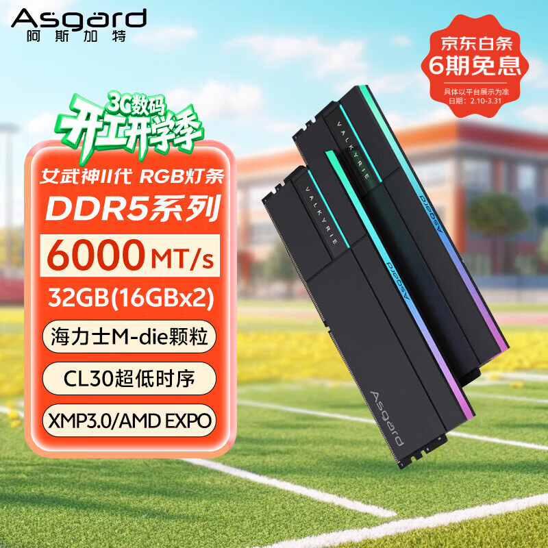 ��˹���أ�Asgard��32GB(16GBx2) DDR5 6000 ̨ʽ���ڴ��� Ů�����߶�����II�� RGB���� ����ʿM-die CL30 ��ҹ�� 3609Ԫ