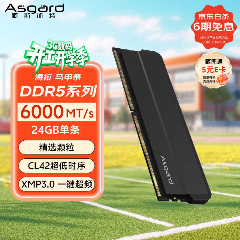 阿斯加特（Asgard）24GB DDR5 6000 台式机内存条 海拉 马甲条 精选颗粒 CL42 极夜黑