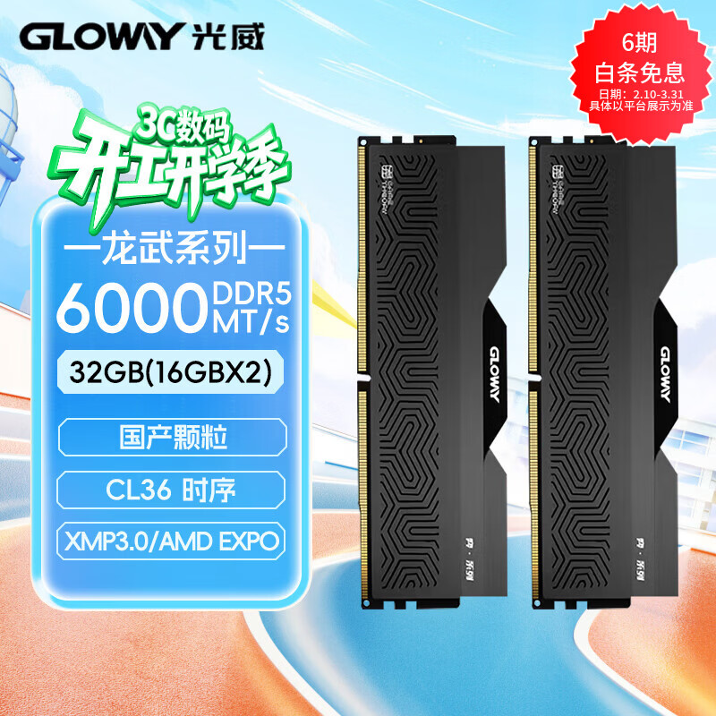Gloway/���� ����-�� DDR5 6000MHz �ڴ��� 16Gx2 2879Ԫ