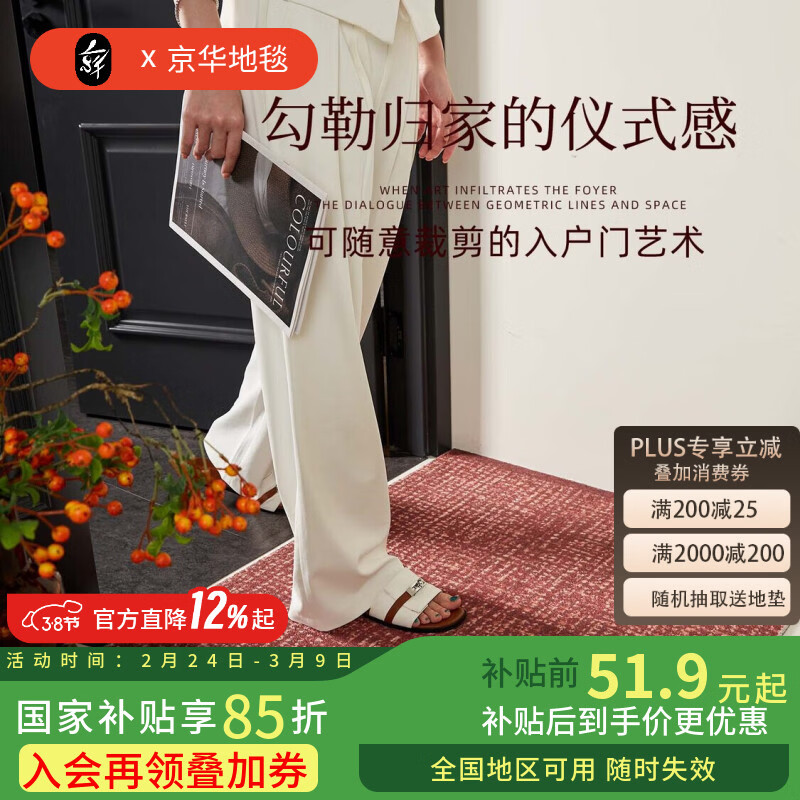 京华入户门地垫2025新款高级室外门口耐脏防滑丝圈脚垫玄关地毯进门垫 冰晶纹80%客户的选择 50cm*80cm 蹭土除尘