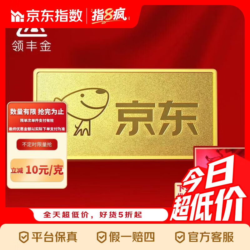 领丰金（LING FENG GOLD）联名款足金9999黄金投资金条攒零钱收藏指数指 10g