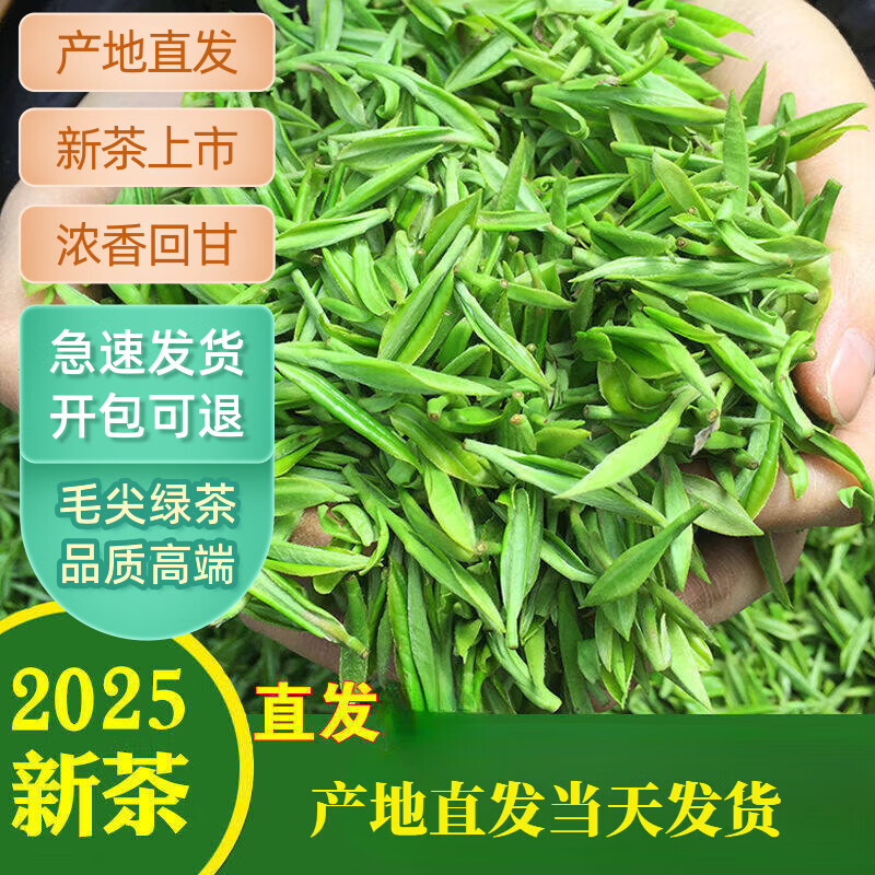 茶叶信阳毛尖2025新茶雨前春茶高山云雾绿茶散装毛尖绿茶叶500g