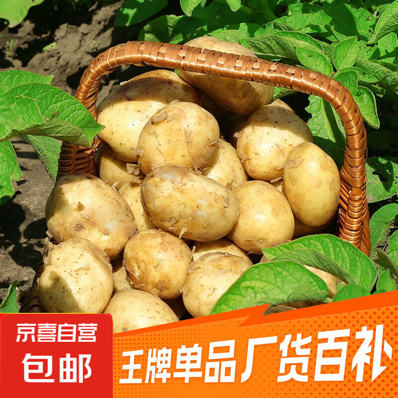 京喜加新鲜黄心土豆农家自种黄皮马铃薯黄心洋芋减脂早餐新鲜蔬菜 黄心土豆 2斤 带箱 50g起/单果
