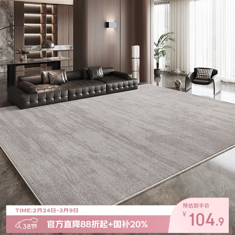 布迪思法式地毯客厅高级轻奢茶几毯简约奶油风家用地毯圈绒ins卧室地毯 百搭灰02【加厚圈绒】 100*160CM