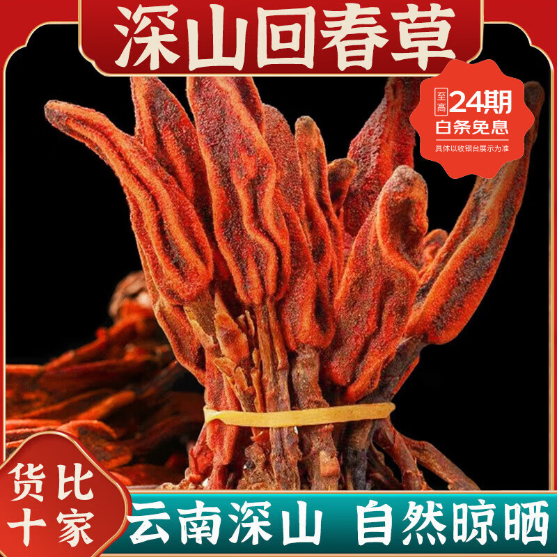 内廷上用精选云南野生回春草500g男性滋补顶天柱不老草茴椿草泡茶泡酒料 [罐装]回春草1250g