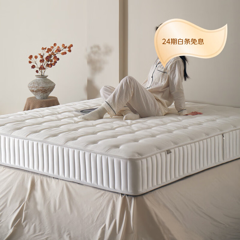 息刻X1 弹簧床垫席梦思软硬适中卧室家用静音床垫独立袋装1.8米款 X1 偏软/云感柔弹的包裹感 厚23cm 2000mm*2200mm 京东折扣/优惠券
