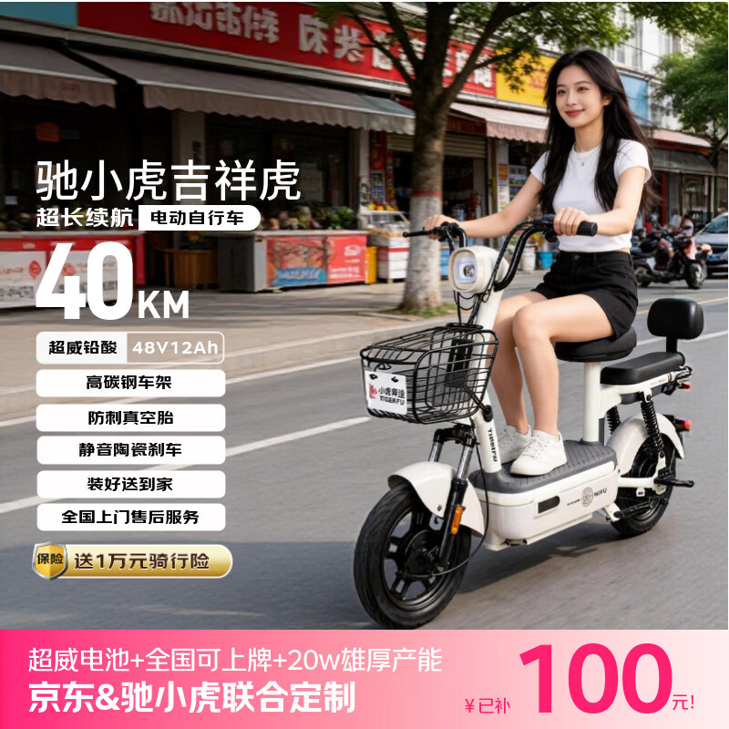 ��С���綯���г� ���黢�¹���綯���綯���г�48V12AhǦ���س�������ƿ�����˴������糵��ɫ 1099Ԫ