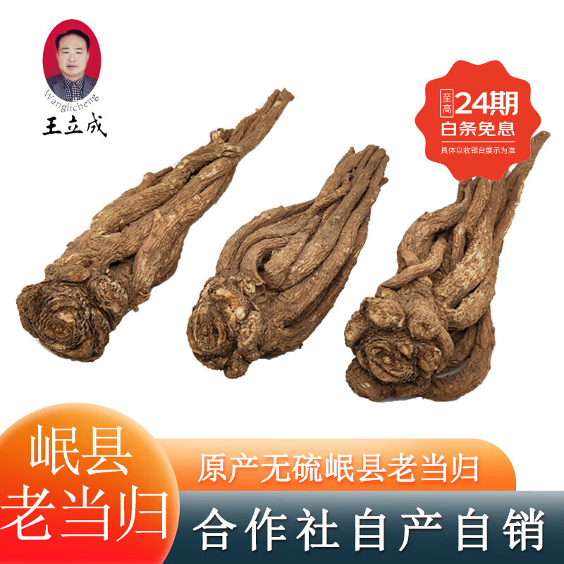 王立成 当归500克 甘肃岷县全当归中药材袋装 无硫整根可打粉 特级老当归（4根或5根）