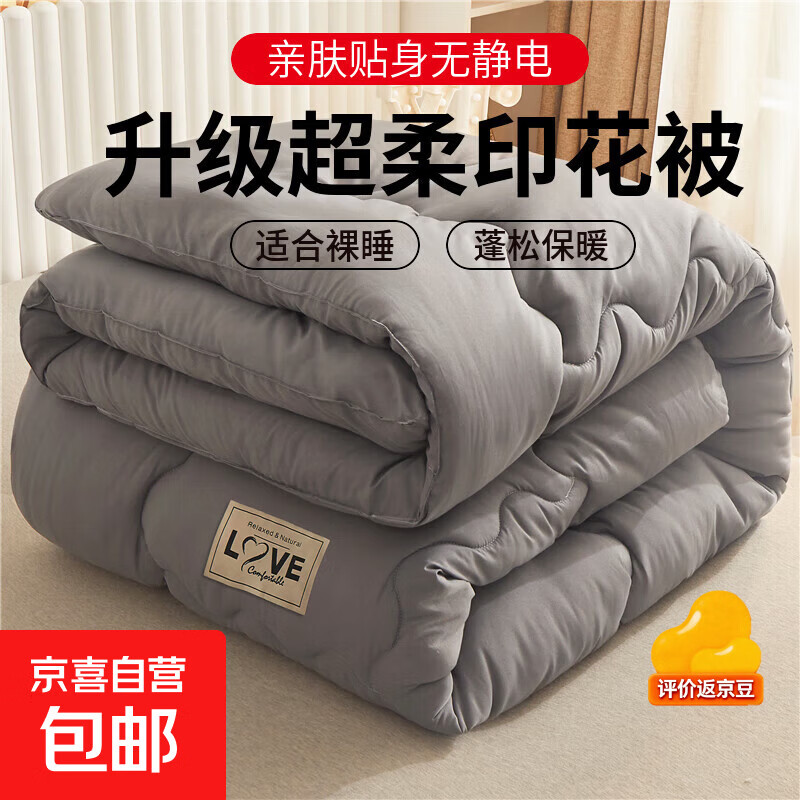 被子加厚冬被芯保暖四季通用冬天单人学生宿舍春秋被心空调被 升级款适合裸睡【经典灰】 150*200cm【4斤】