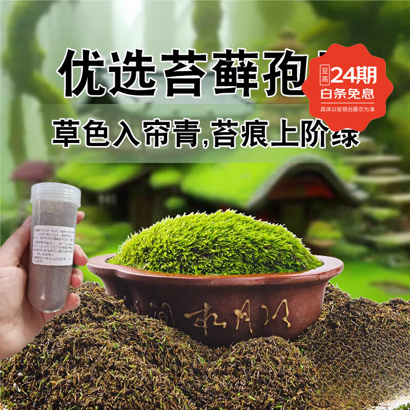 汇种草农苔藓孢子粉四季鲜活青苔绿植短绒吸水石种子微景观盆景造假山草籽 瓶装混合苔藓孢子粉精品约80毫升 精选【21克】包发芽