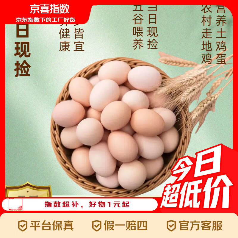 京喜指数-农家散养土鸡蛋柴鸡蛋笨鸡蛋五谷喂养单枚40g-50g 土鸡蛋10枚