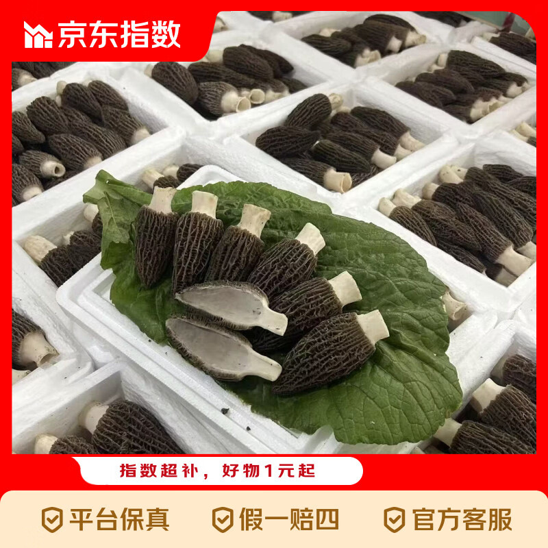 羊肚菌500g仅需39.9元，产地直发新鲜到家