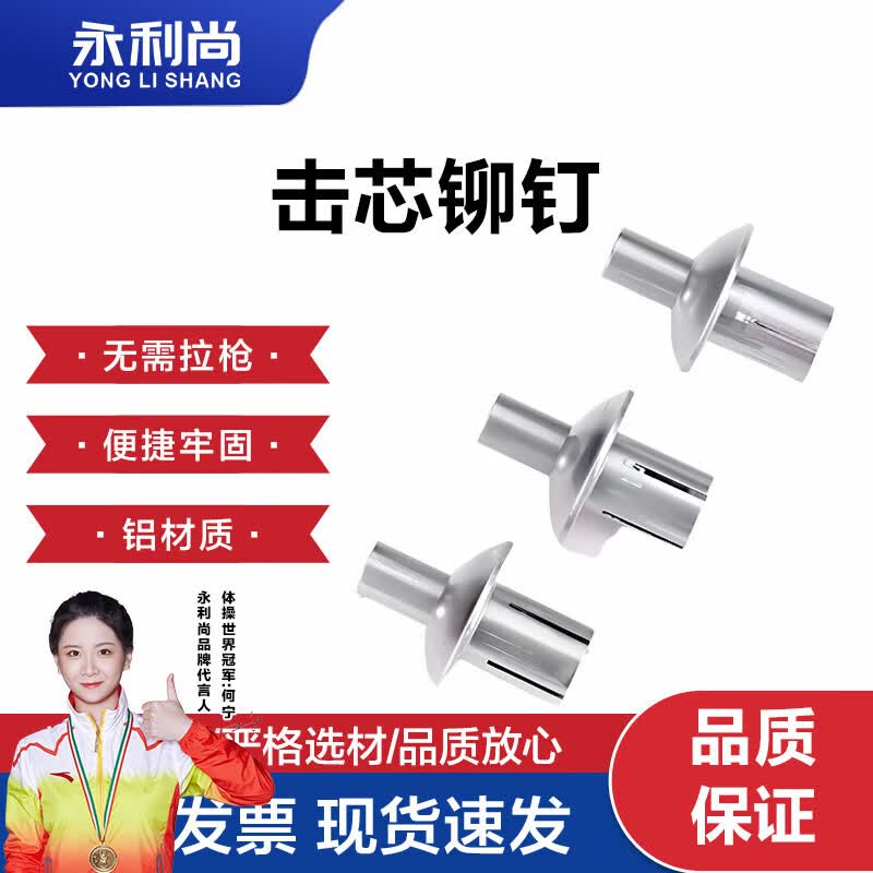 永利尚敲击式铝铆钉膨胀螺丝钉击芯铆钉 5*11(10个)