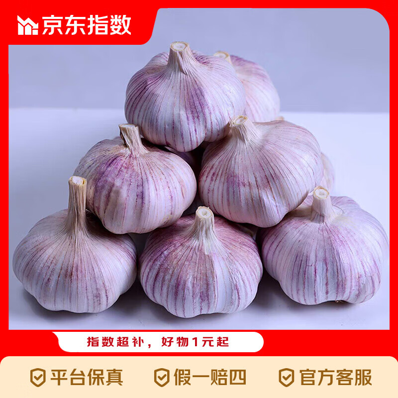 京喜指数 紫白皮蒜即食水果大蒜今年新鲜干蒜生鲜调料蒜瓣 大蒜带箱2斤单果3.5-4.5cm