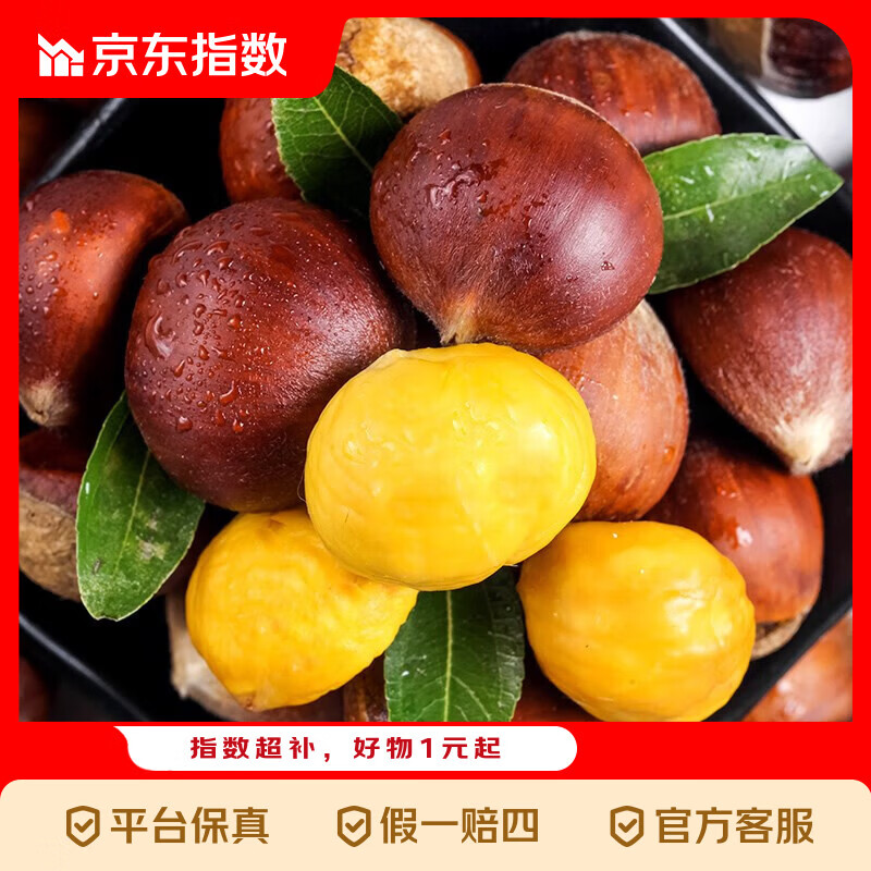 ��ϲָ�� �����°�������������ר�������߲����� 25�������� 6�� 9.9Ԫ