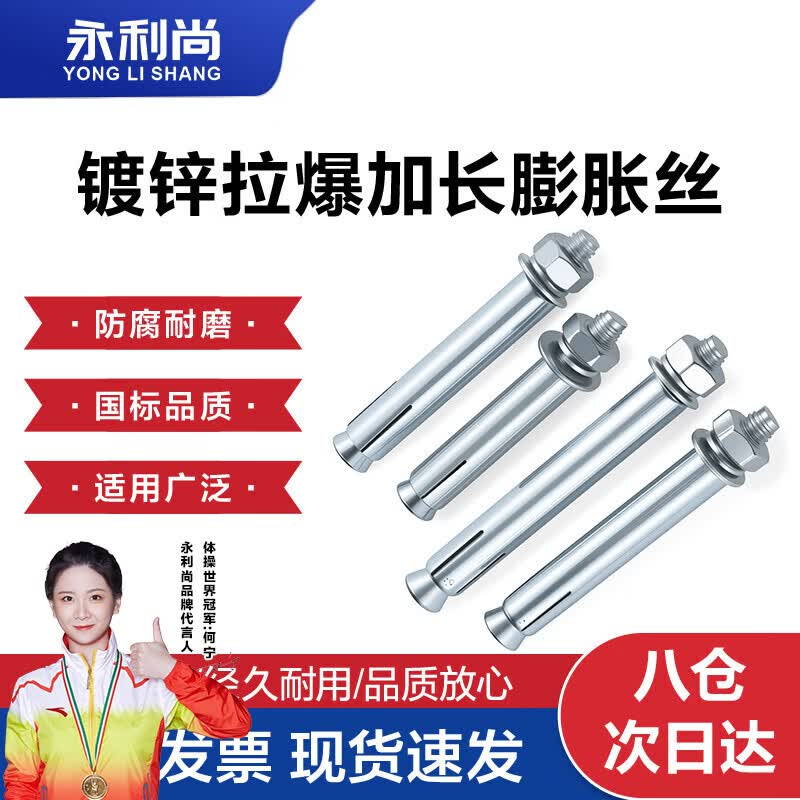 永利尚膨胀螺丝镀锌拉爆铁胀管金属加长超长膨胀螺栓 M16*120(2个)