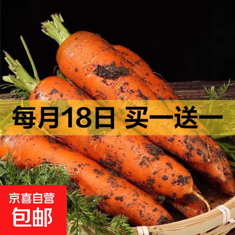 京喜加山东新鲜胡萝卜水果胡萝卜现挖现发蔬菜水果沙地红萝卜减脂 带泥胡萝卜2斤 含箱