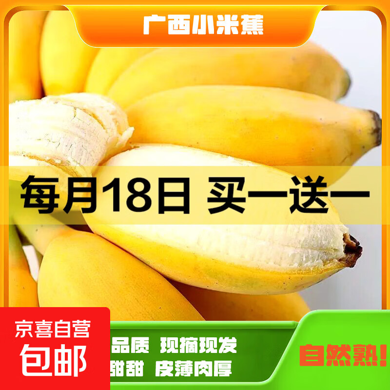 京喜加广西小米蕉自然熟酸甜香蕉正宗新鲜水果小芭蕉苹果蕉自然熟当季 带箱1斤