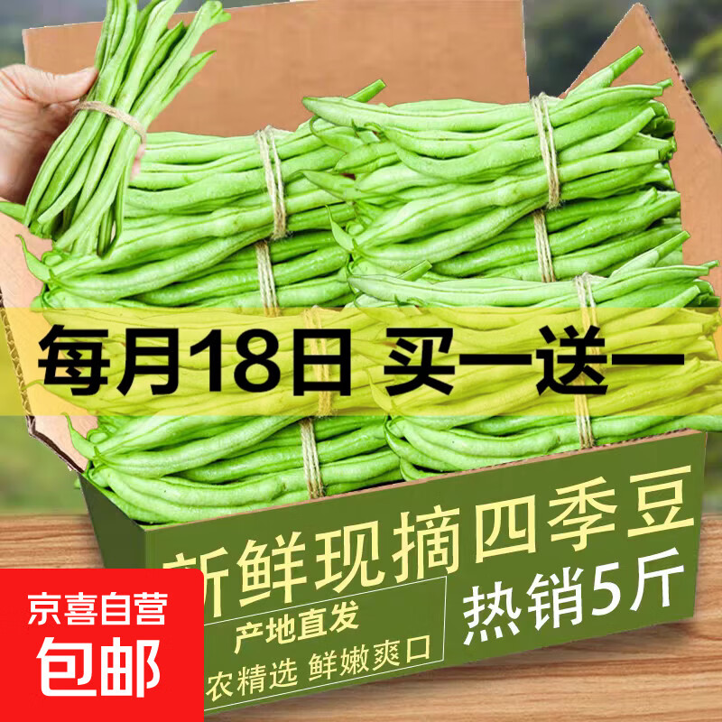 【东东买菜】云南高山四季豆小金芸豆露天豆角筋豆现摘时令菜 带箱 1斤（净重 0.8斤）