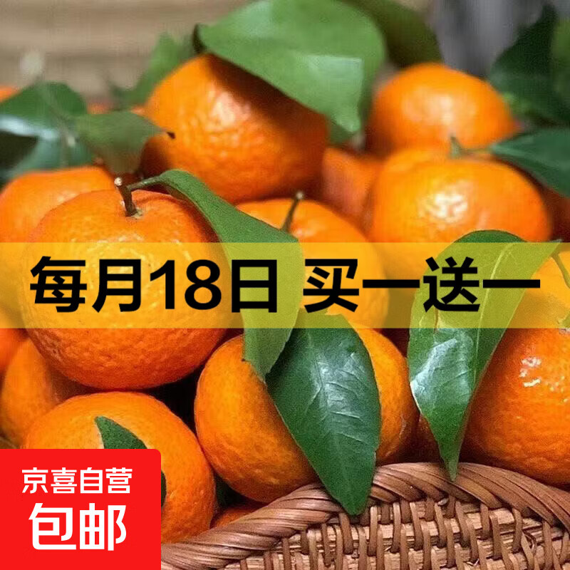 【当季爆甜】正宗广西砂糖橘当季新鲜水果薄皮沙糖桔子蜜桔蜜橘子 砂糖橘带箱1斤