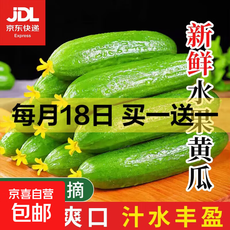 【超市品质】山东新鲜水果黄瓜嫩青瓜生吃蘸酱生鲜蔬菜减肥搭配 水果黄瓜 1斤 尝鲜装