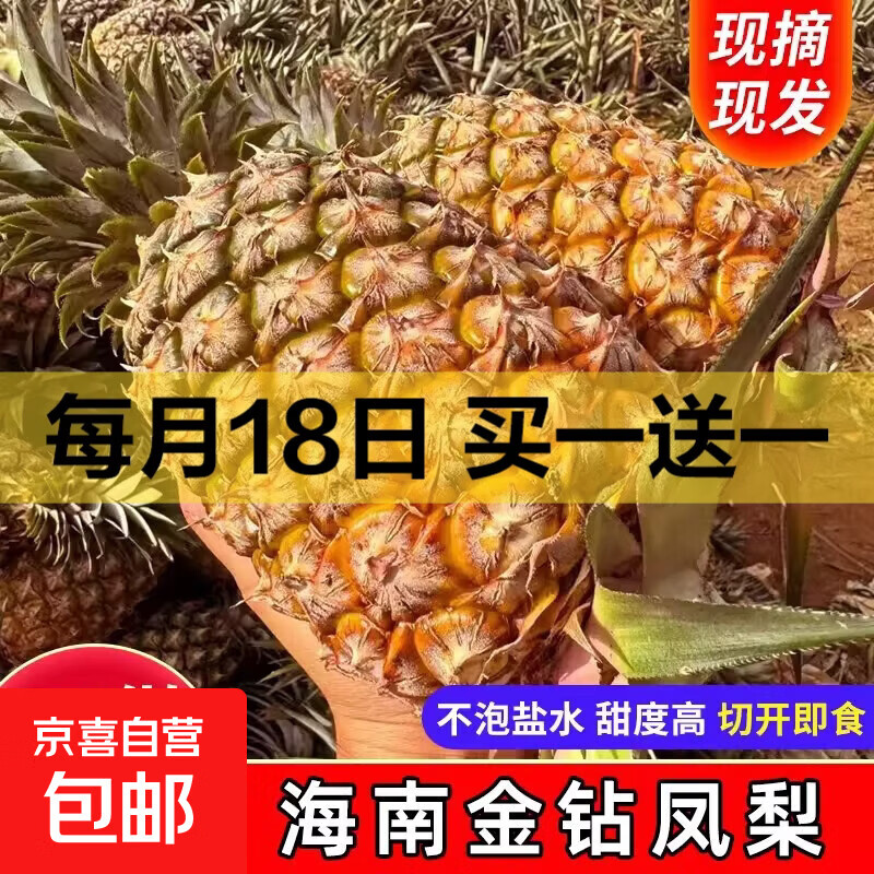 海南金钻凤梨新鲜现摘水果现摘现发原产地尝鲜装坏果包赔包邮批发 1粒 小果：单果0.8-1.3斤