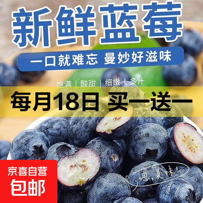 正宗云南高原新鲜采摘蓝莓新鲜水果孕妇宝宝辅食护眼花香蓝莓 蓝莓单果15mm+ 高原蓝莓热卖70g*2盒装