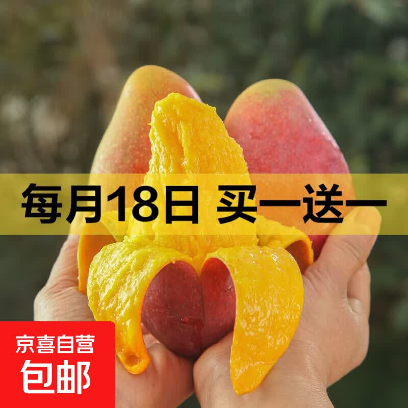 海南贵妃芒生鲜水果现货直发 带箱1斤50-100g