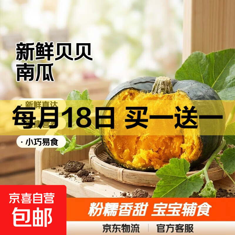 京喜加百万复购贝贝南瓜板栗味小南瓜正宗新鲜粉糯香甜单果100g起 贝贝南瓜 500g 小果
