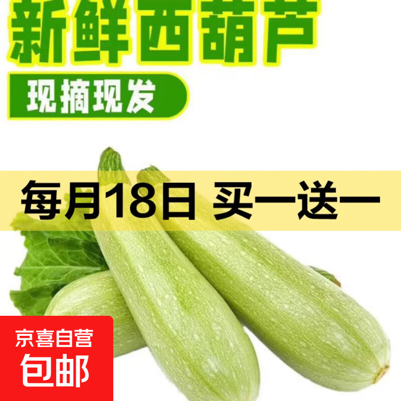 山东新鲜西葫芦三月瓜现摘现发 西葫芦 1斤