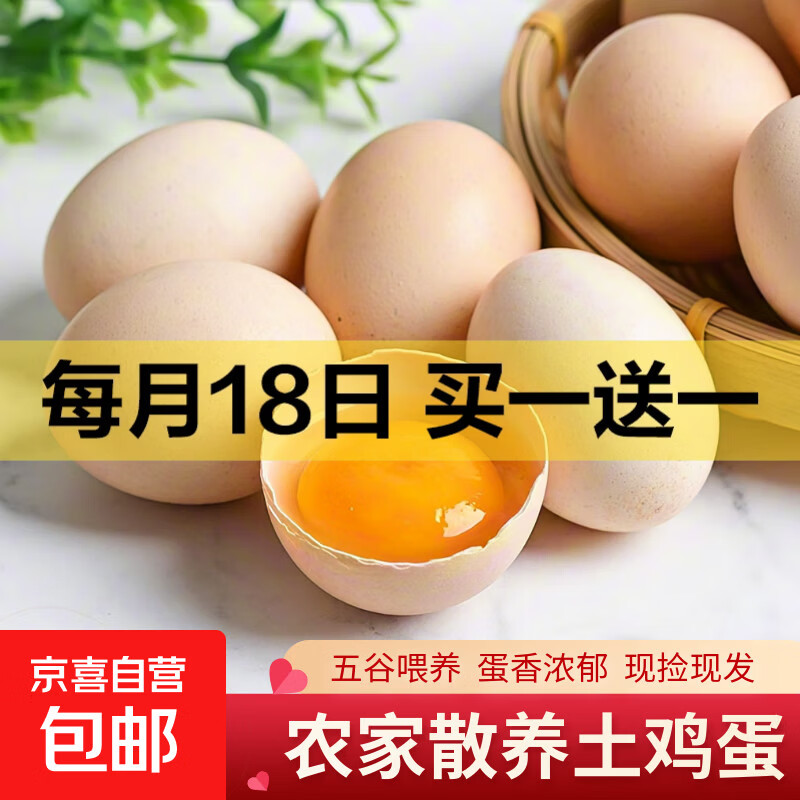 京喜加鲜鸡蛋 新鲜鸡蛋山林自养 生鲜溏心蛋 卤蛋早餐京东买菜40g正负5g 10枚装总重400g+